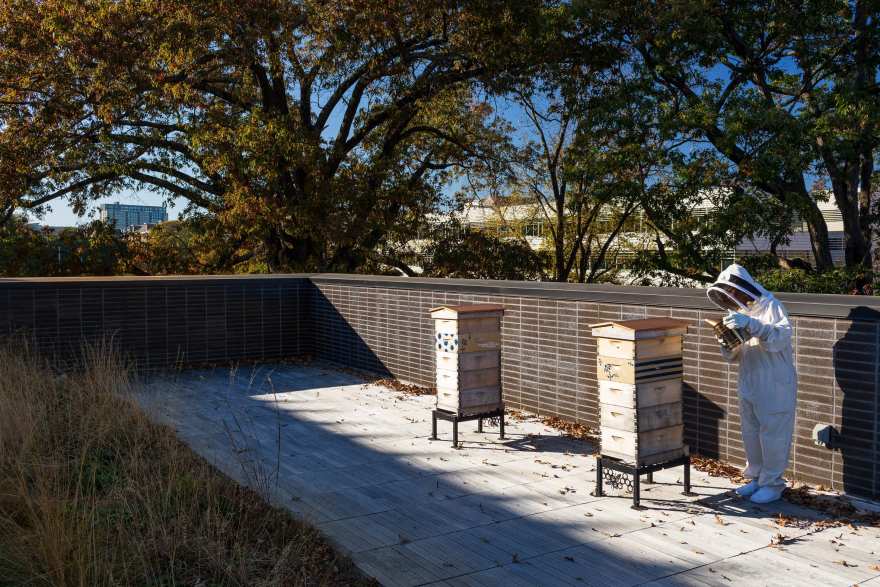 亚特兰大肯德达建筑 | 绿色环保的创新可持续设计-43