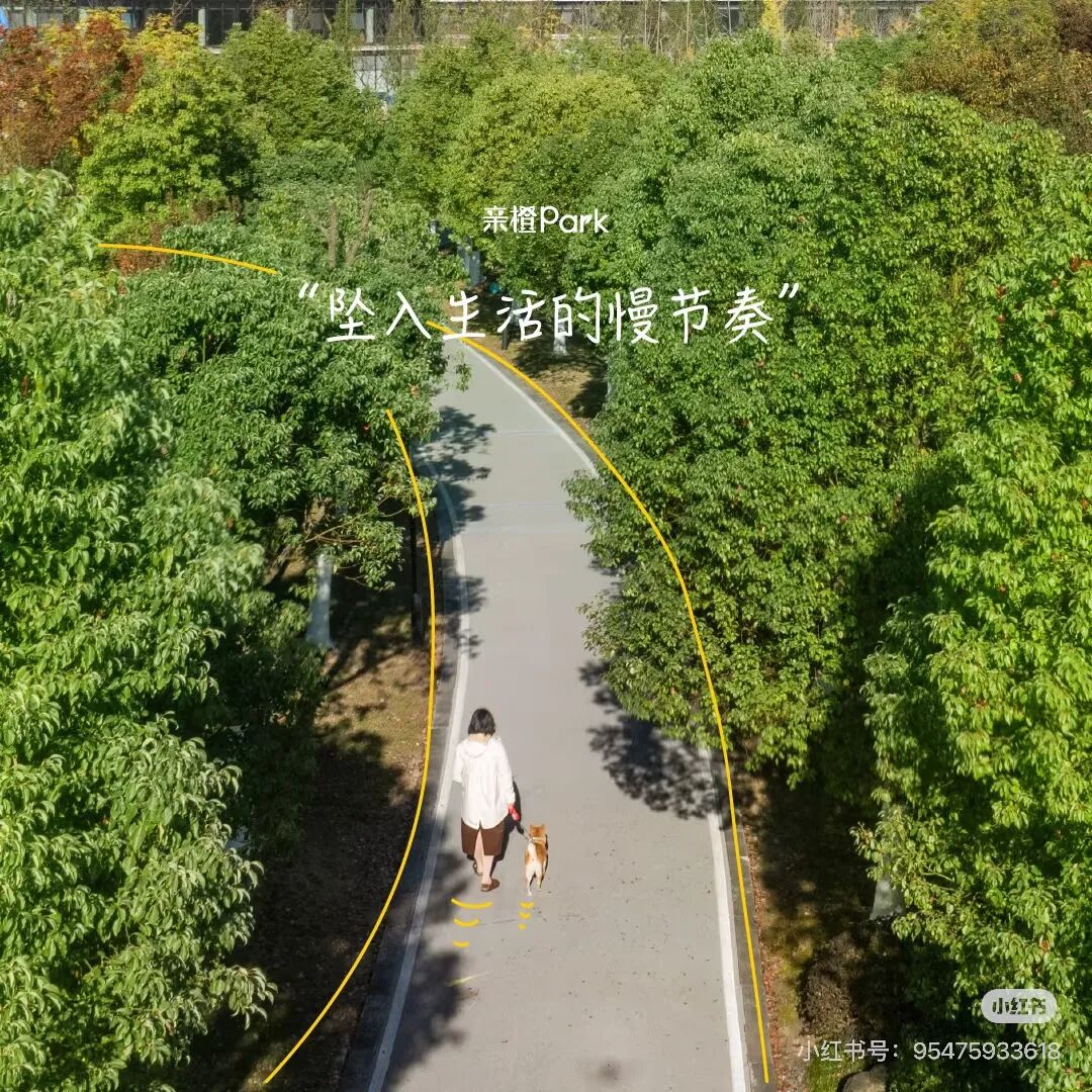 CEOL咖啡店丨中国杭州丨杭州观堂室内设计有限公司-29