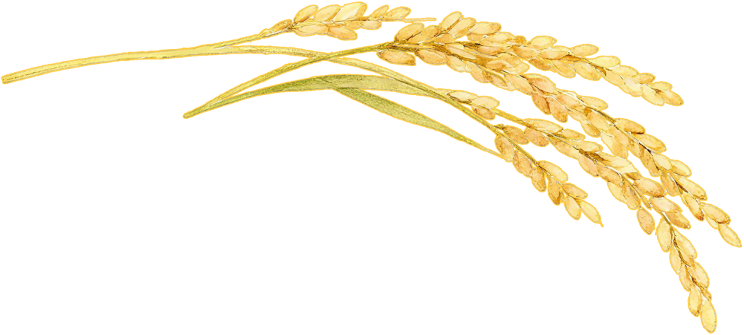 大洋物流中欧班列集结中心项目高质量交付-22