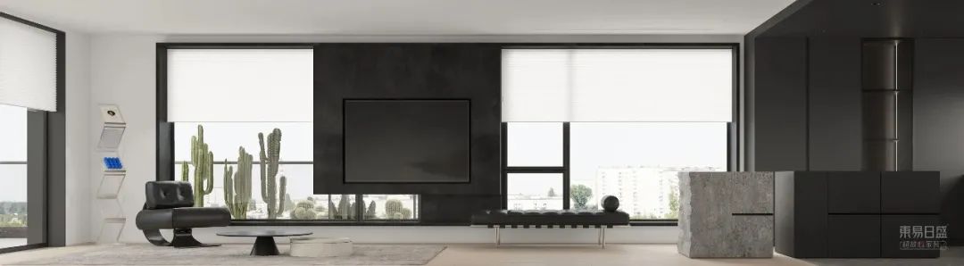 【原创实景首发】钱浙明作品：大白-25