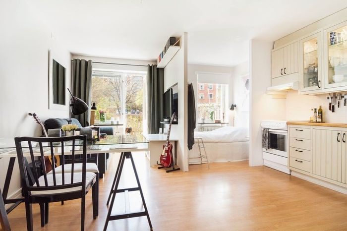 31平方米不规则户型单身公寓设计-3