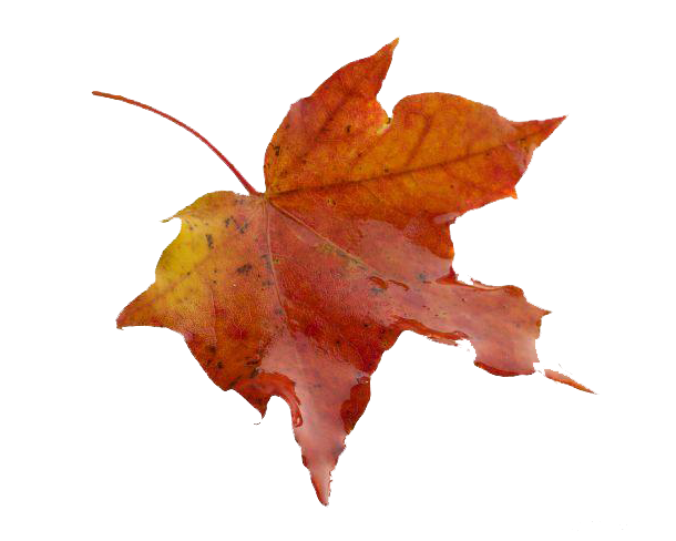 美拉德风家居设计-4