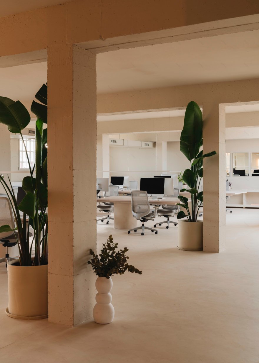 BOL 创意视听制作公司丨西班牙巴塞罗那丨Isern Serra Studio-21