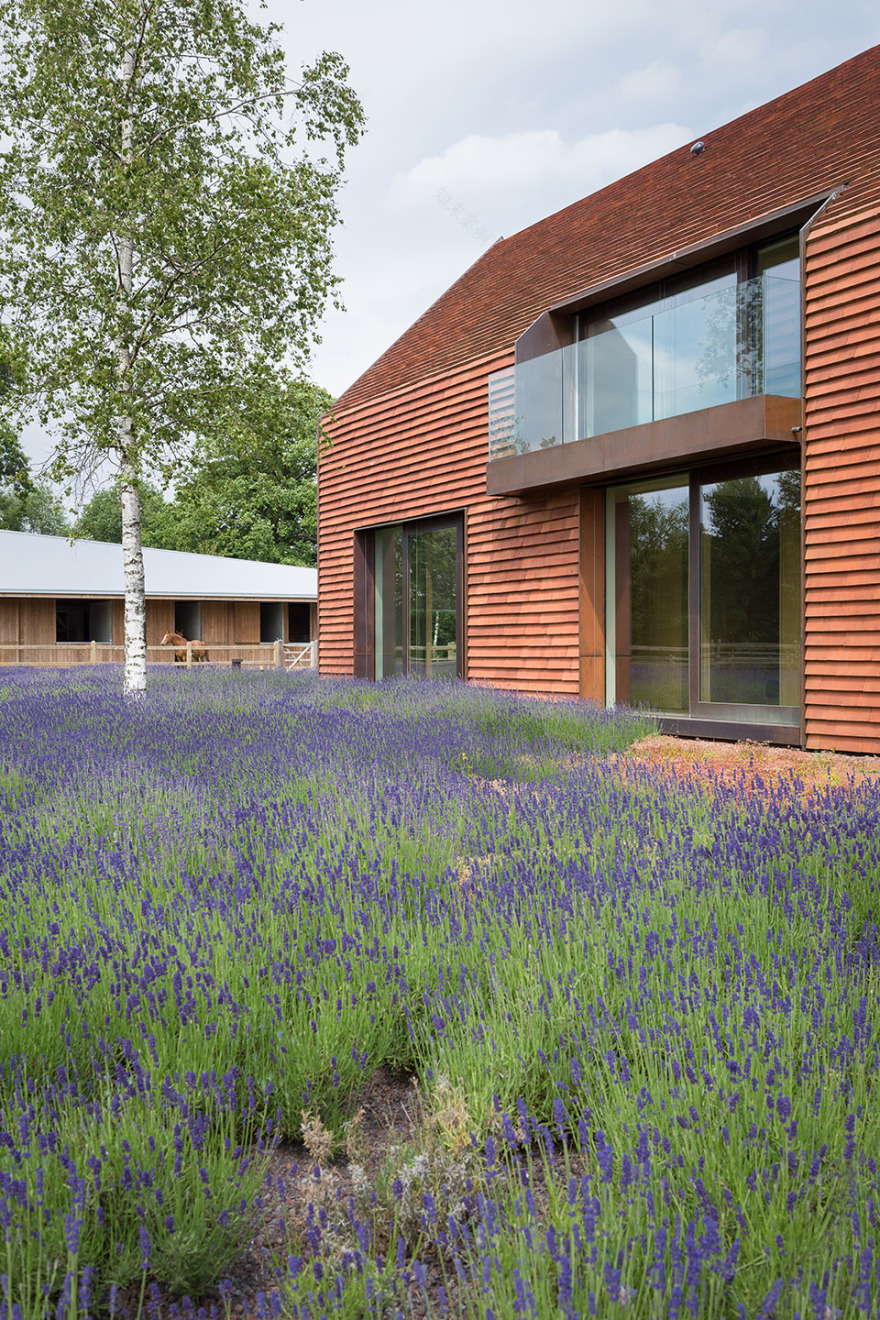 Olmen住宅,比利时 / Pascal François Architects-16