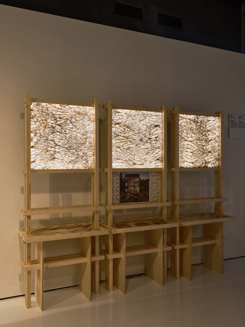 塔林建筑双年展丨爱沙尼亚丨Lydia Kallipoliti,Areti Markopoulou-36