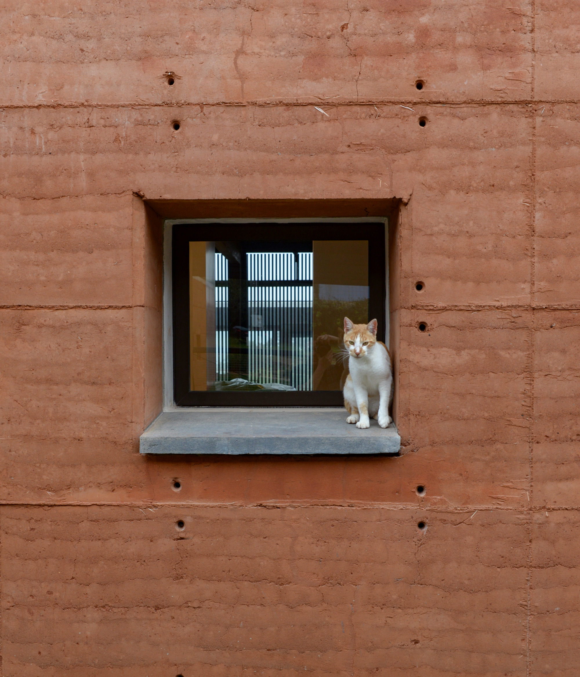 灶鸟屋丨SwitzerlandBern丨BAUEN-43