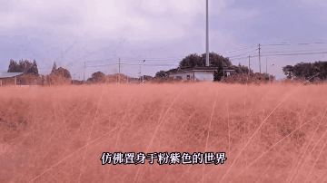 让工业遗存“活”起来,万三酒庄的“诗与远方”-57