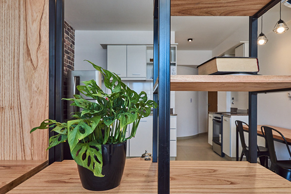 委内瑞拉项目丨阿根廷布宜诺斯艾利斯丨MEG ESTUDIO-15