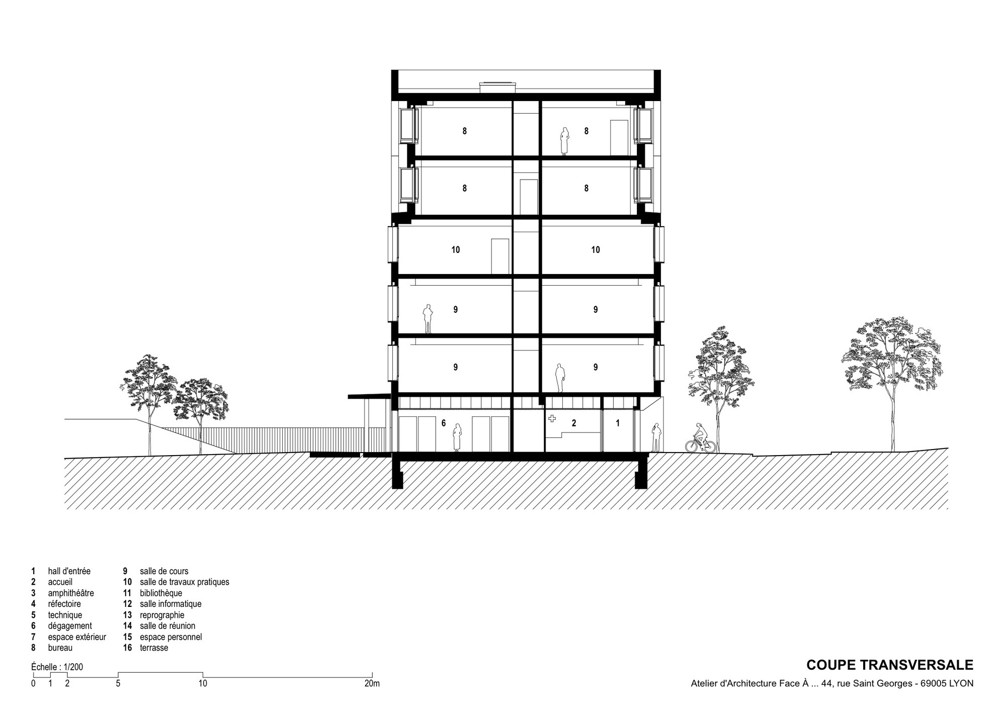 红新月地区健康与社会培训学院-45