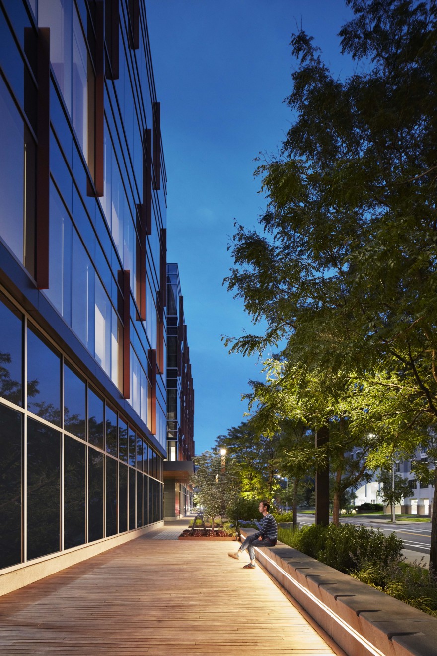 弧状银汉鱼研究中心-8