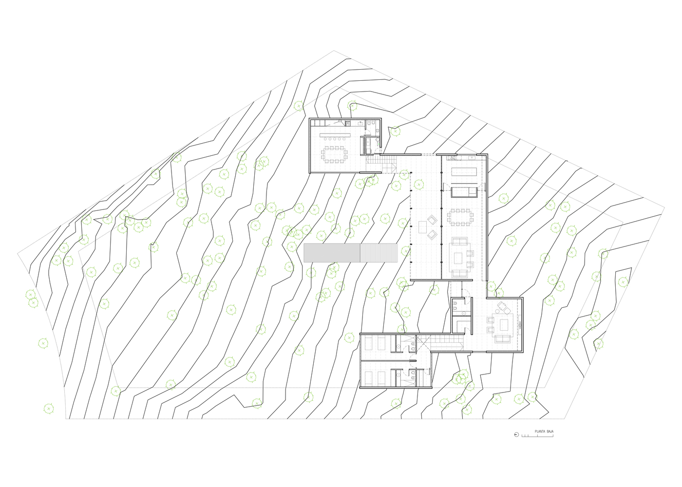 阿根廷丛林中的自然住宅-13
