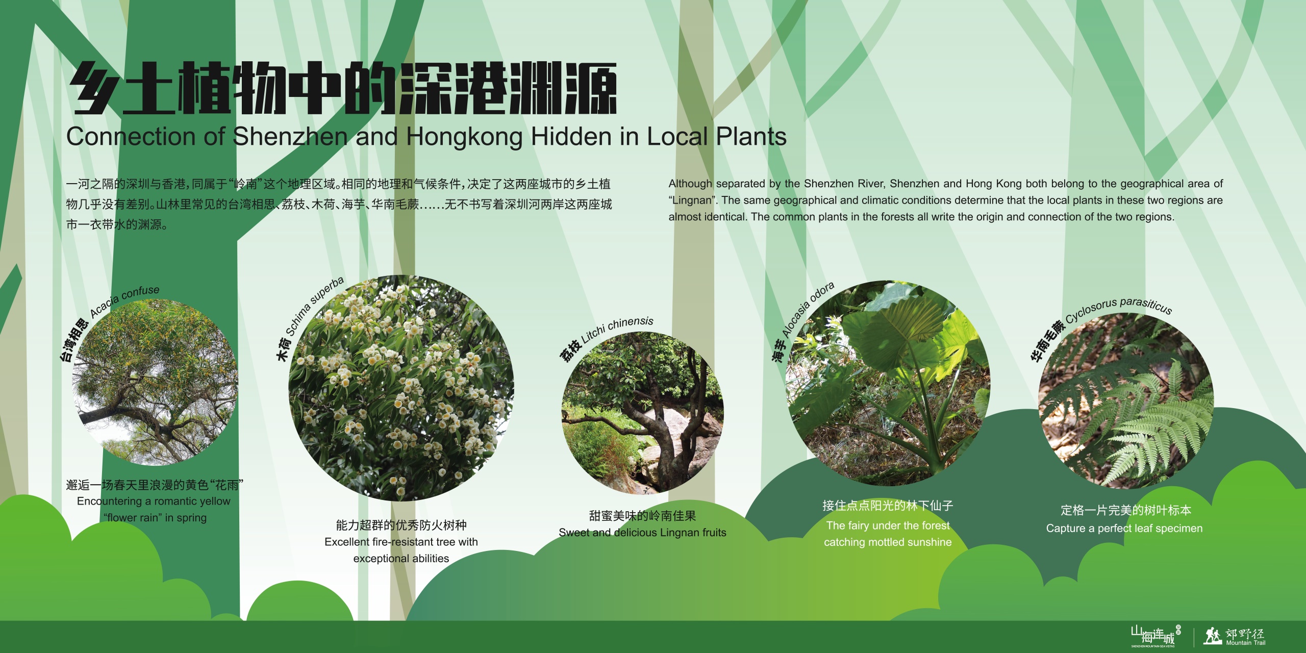 深圳市罗湖区东湖公园郊野径 – 莲塘口岸线丨中国深圳丨深圳市未名设计顾问有限公司 （WMLA）-143