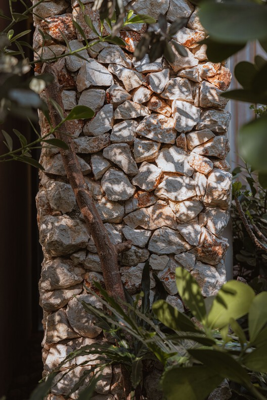 丨哥斯达黎加丨Studio Saxe-71