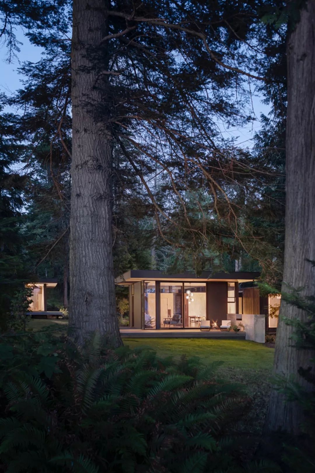 森林中的宁静隐居,对话自然之美-14