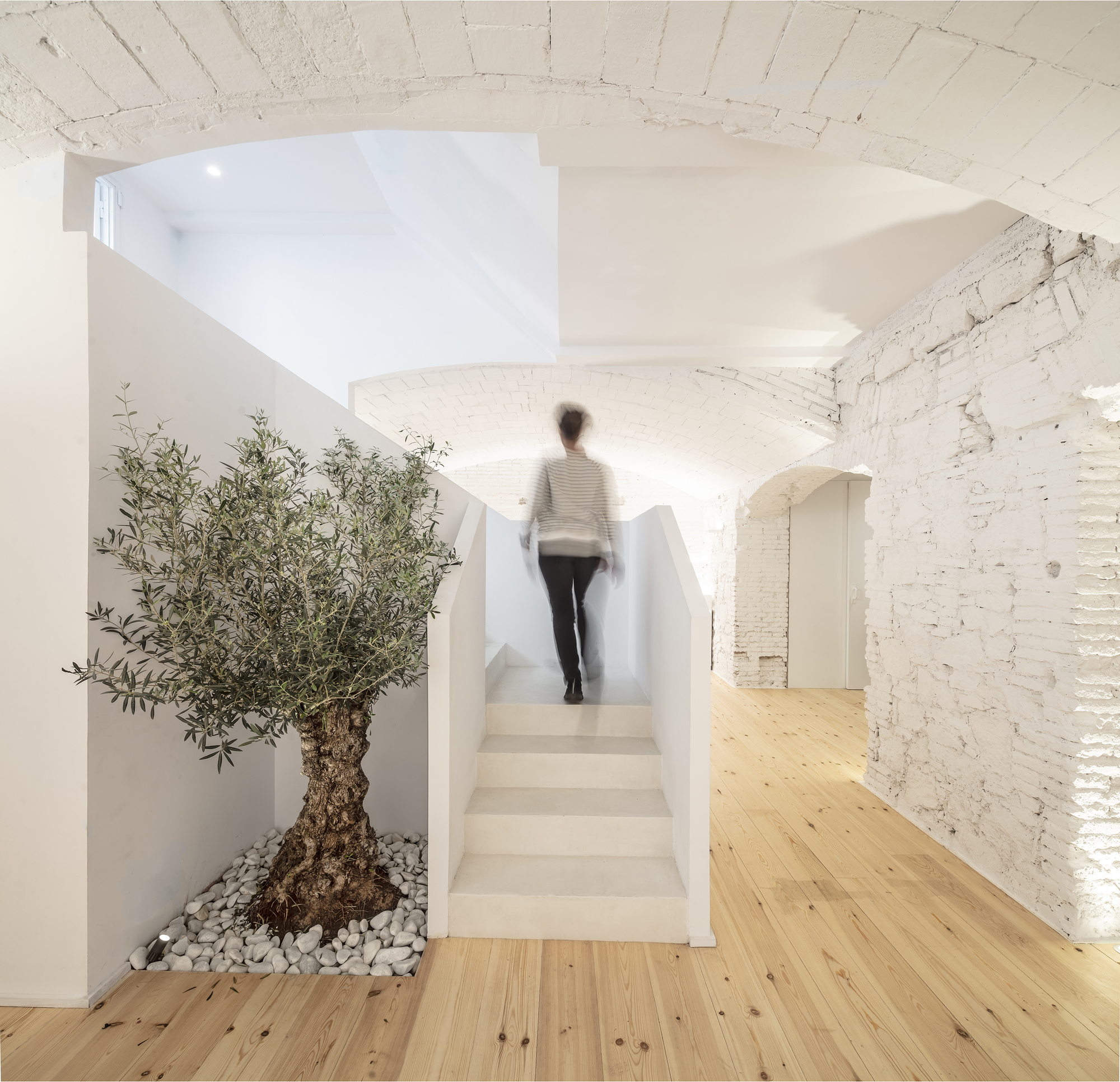 卡纳巴塞罗那香水店丨西班牙巴塞罗那丨Jofre Roca arquitectes-27