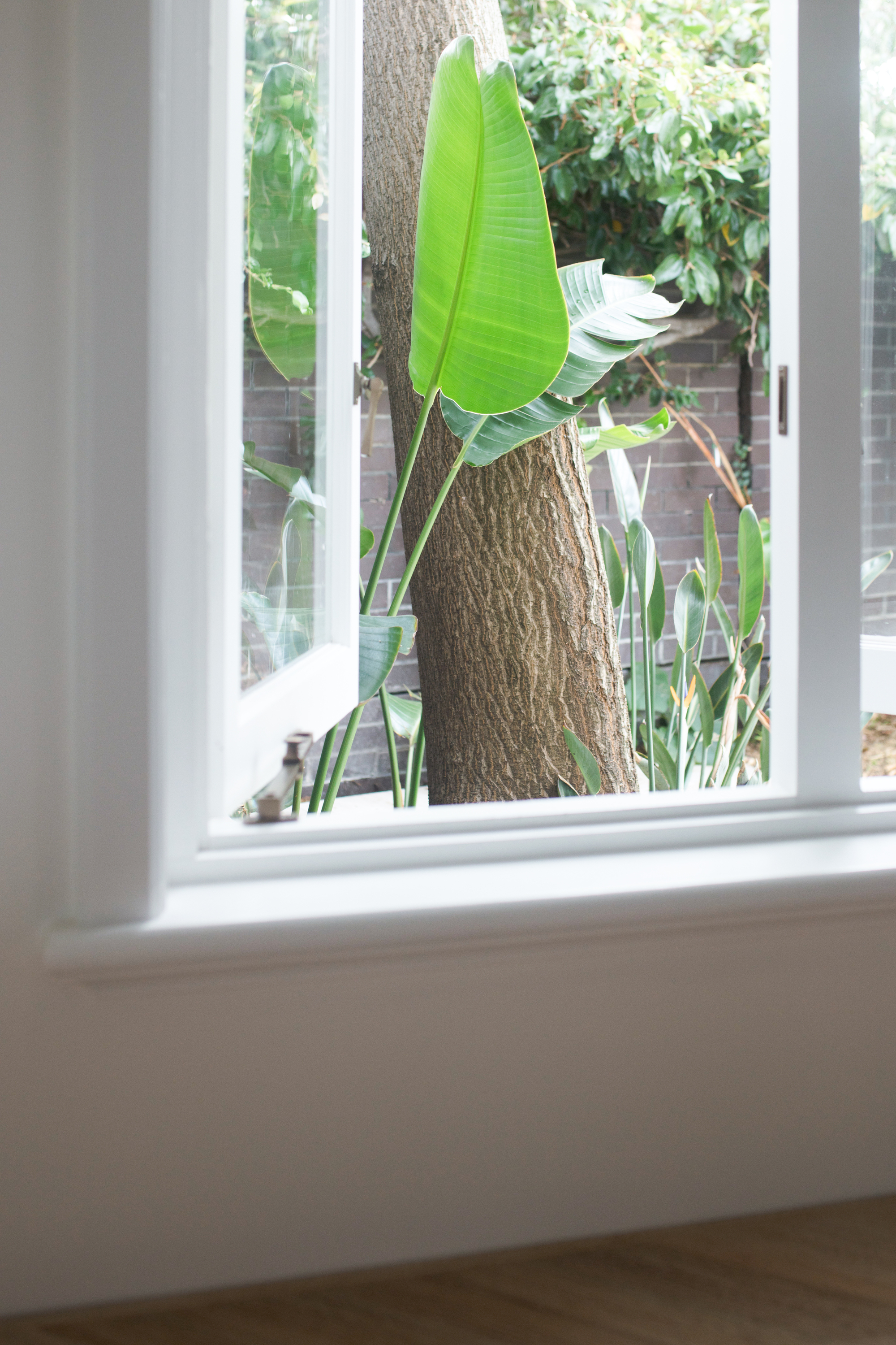 House B / Whispering Smith-36