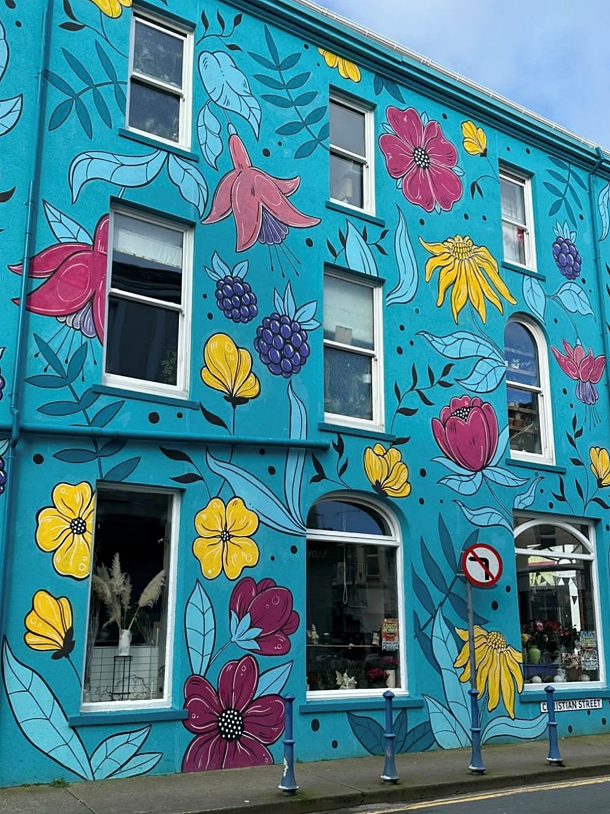 Isle of Man的花卉壁画项目丨Karolina Pawłowska-12