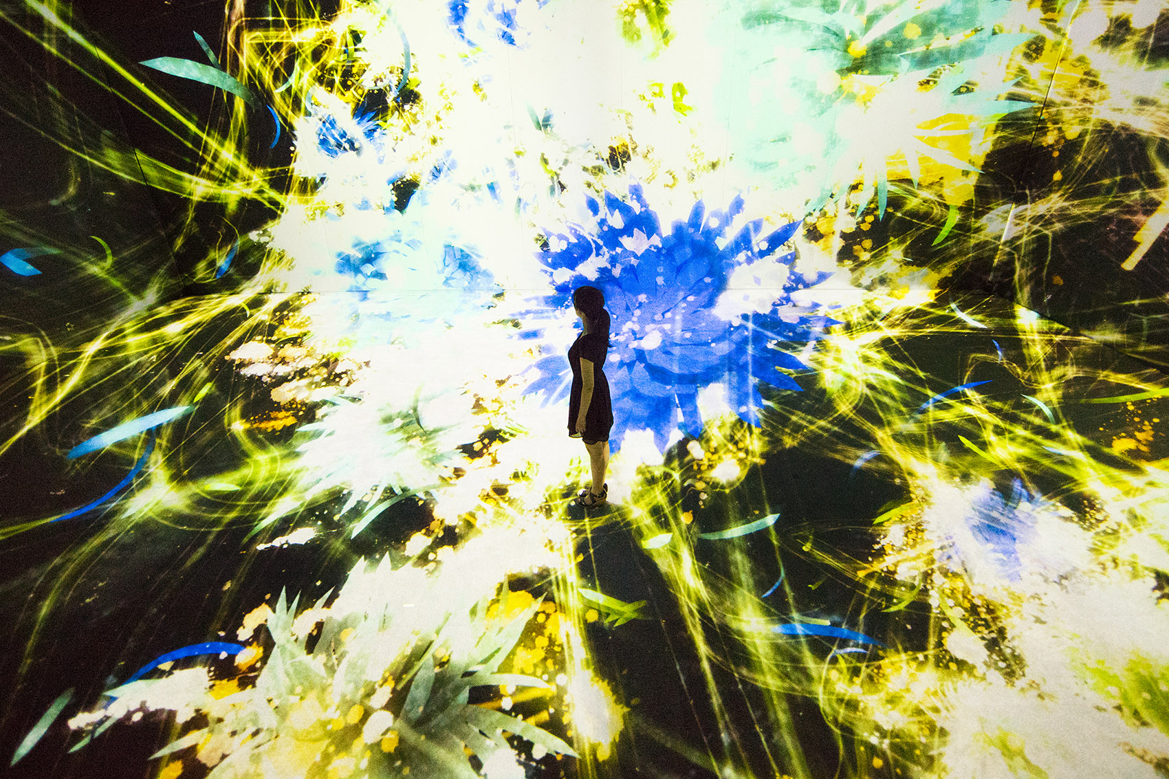 teamLab 2017 深圳北京大展：舞蹈吧，艺术！寓教于乐的未来游乐园！-149
