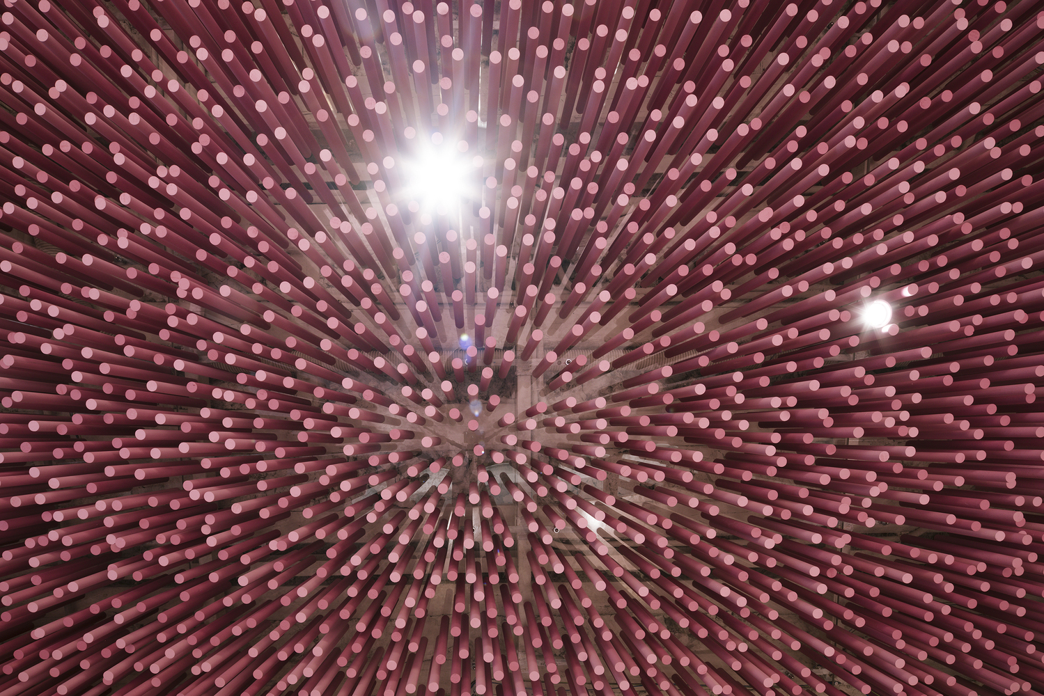 12000 品红棒的独特魅力-29