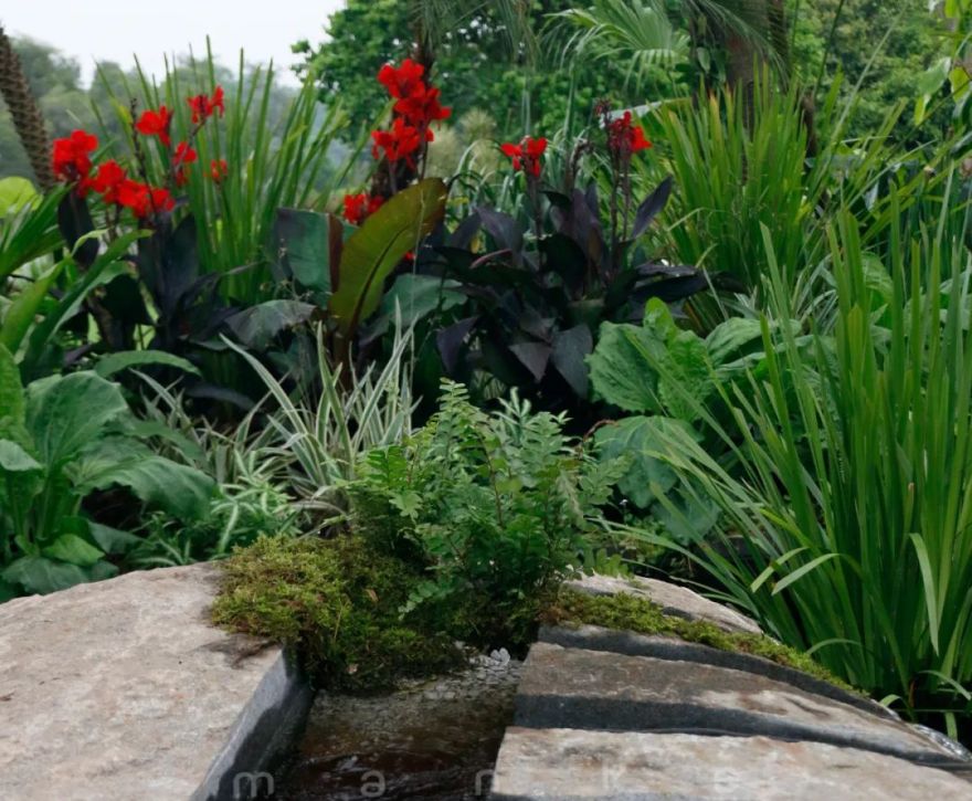 仲夏夜之梦 · 莎士比亚灵感的花园设计丨中国深圳丨Sarah Eberle(英国)-50