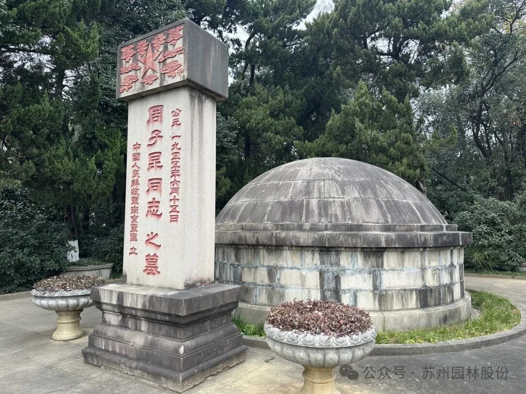 英魂长驻，青山焕新——园林股份修缮皖南事变三烈士墓-27