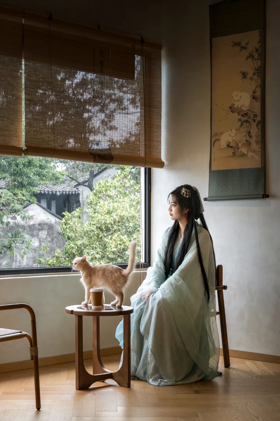 平江老街的萌宠空间-17