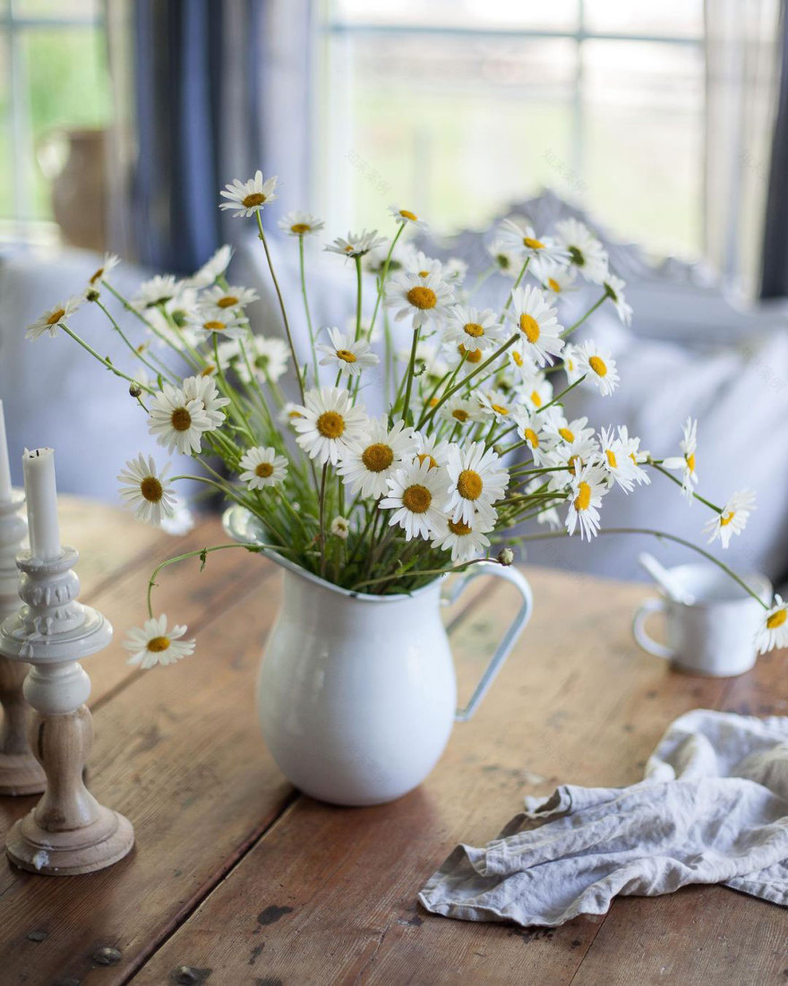 瑞典美食博主的百年乡村别墅-5