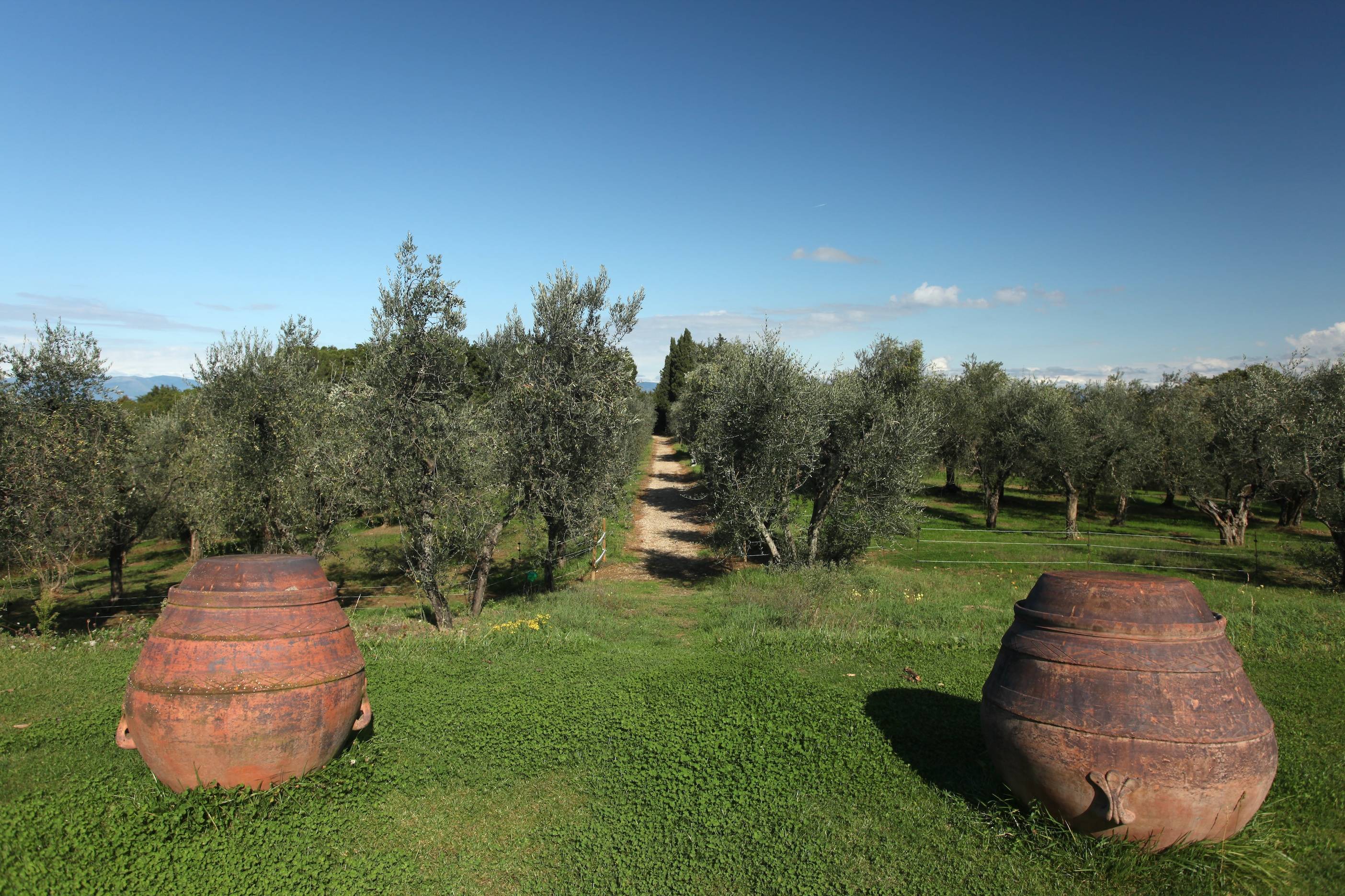 [别墅]意大利佛罗伦萨曼嘉卡纳渡假别墅Villa+Mangiacane-8