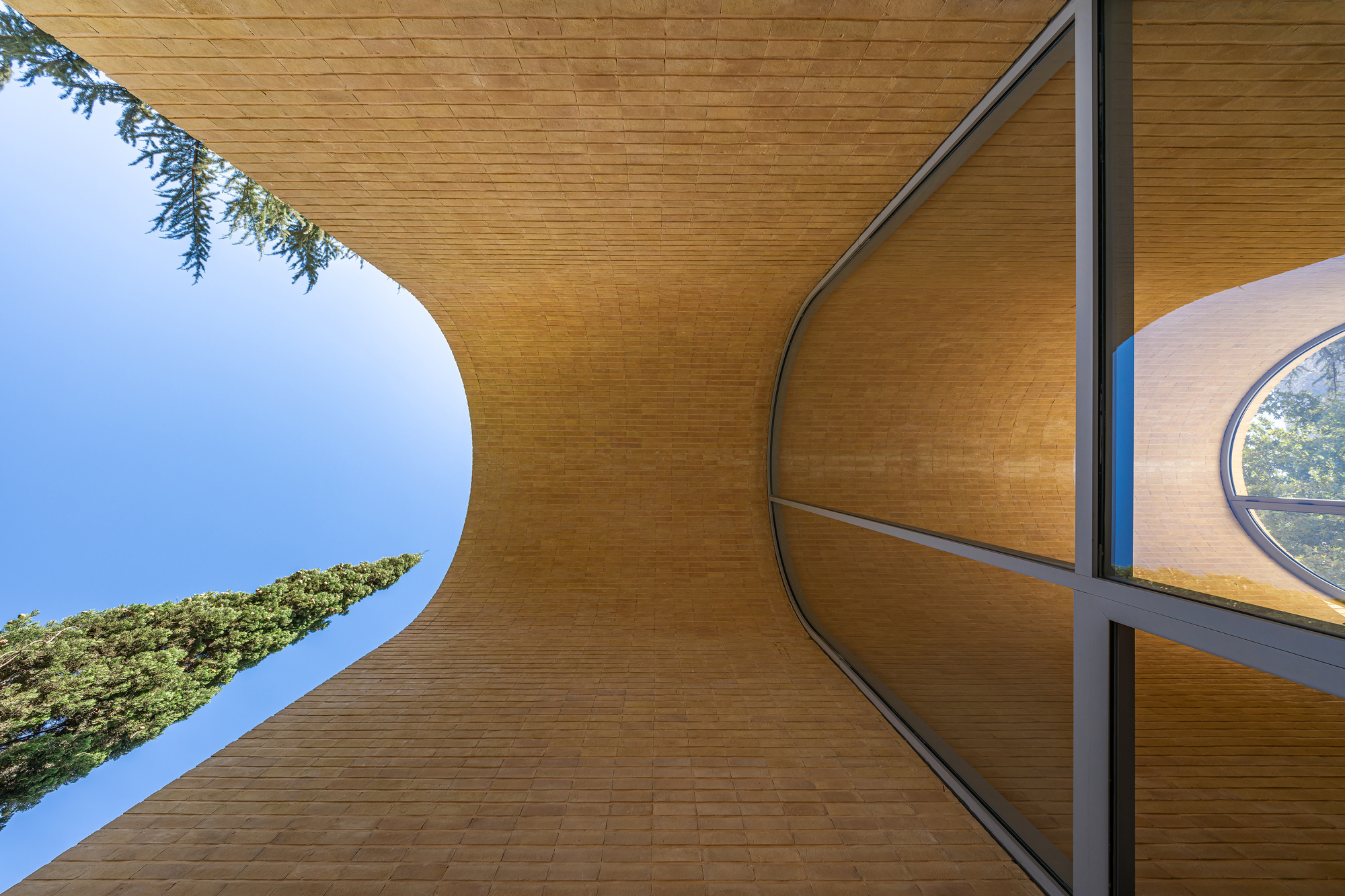 A House Looking to A Cedrus Tree / Cedrus Studio-36