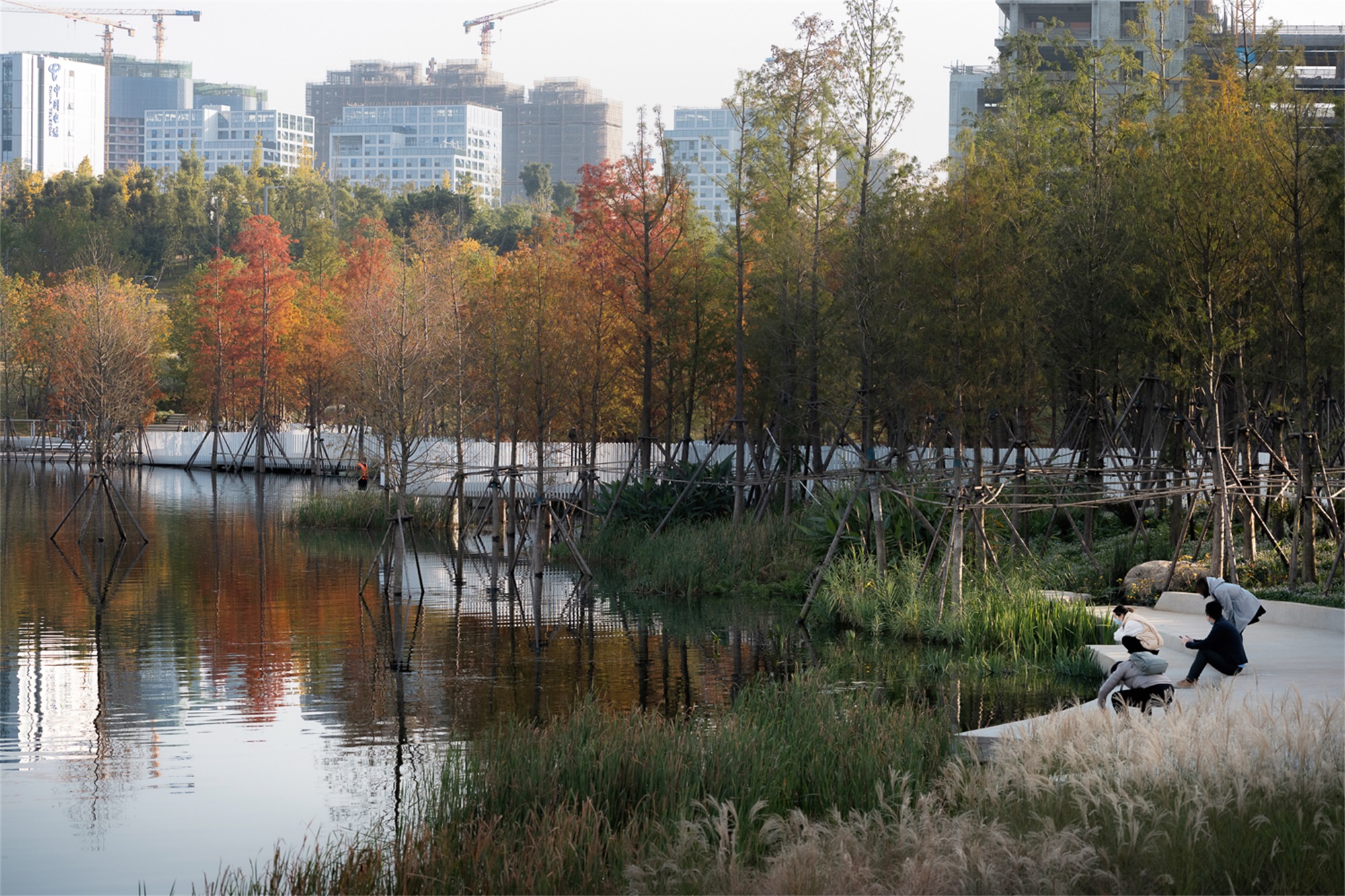 成都兴隆湖·湖畔森林图书馆丨中国成都丨昱道景观-72