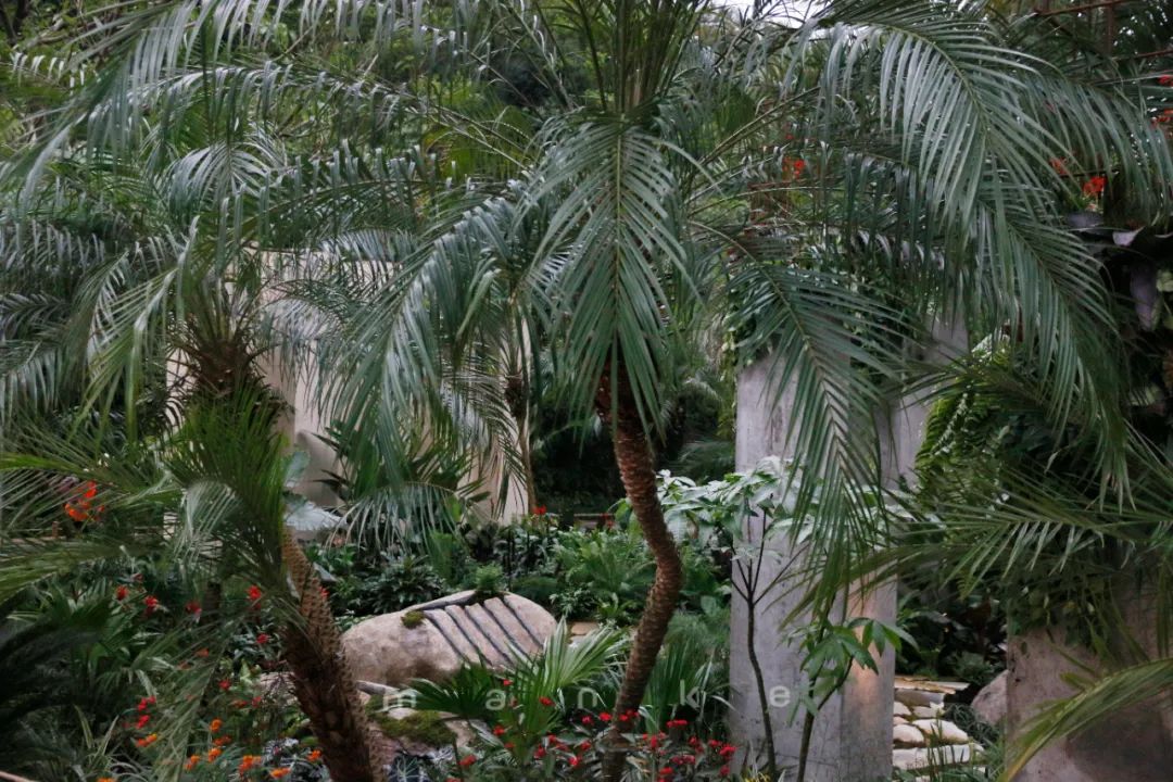 仲夏夜之梦 · 莎士比亚灵感的花园设计丨中国深圳丨Sarah Eberle(英国)-48