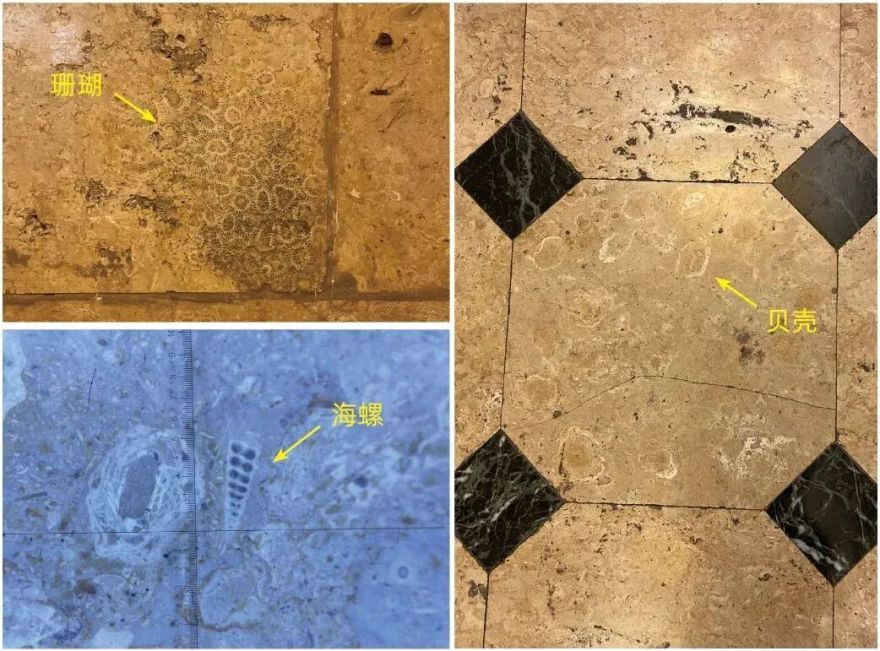 历史建筑风貌庚续,海格公寓焕新归来|华建集团上海院探索近代高层公寓静安宾馆的保护与活化-71