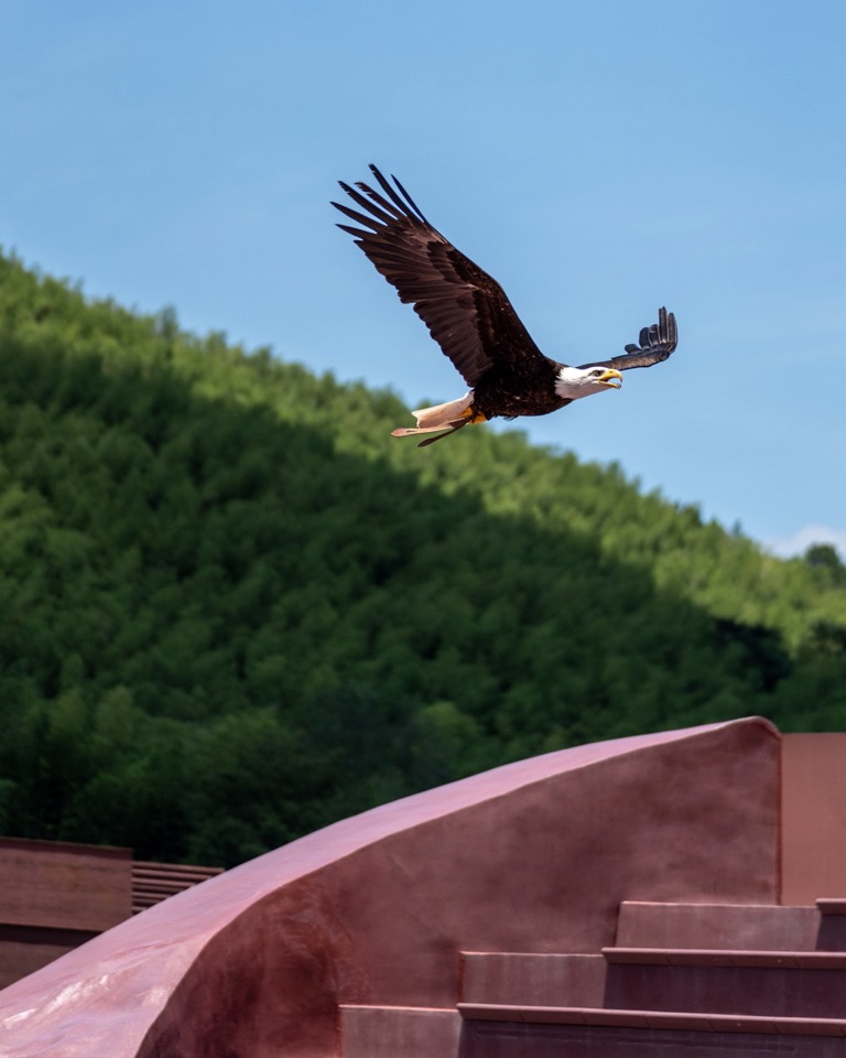 窑湖小镇飞鸟剧场丨中国无锡丨goa大象设计-10