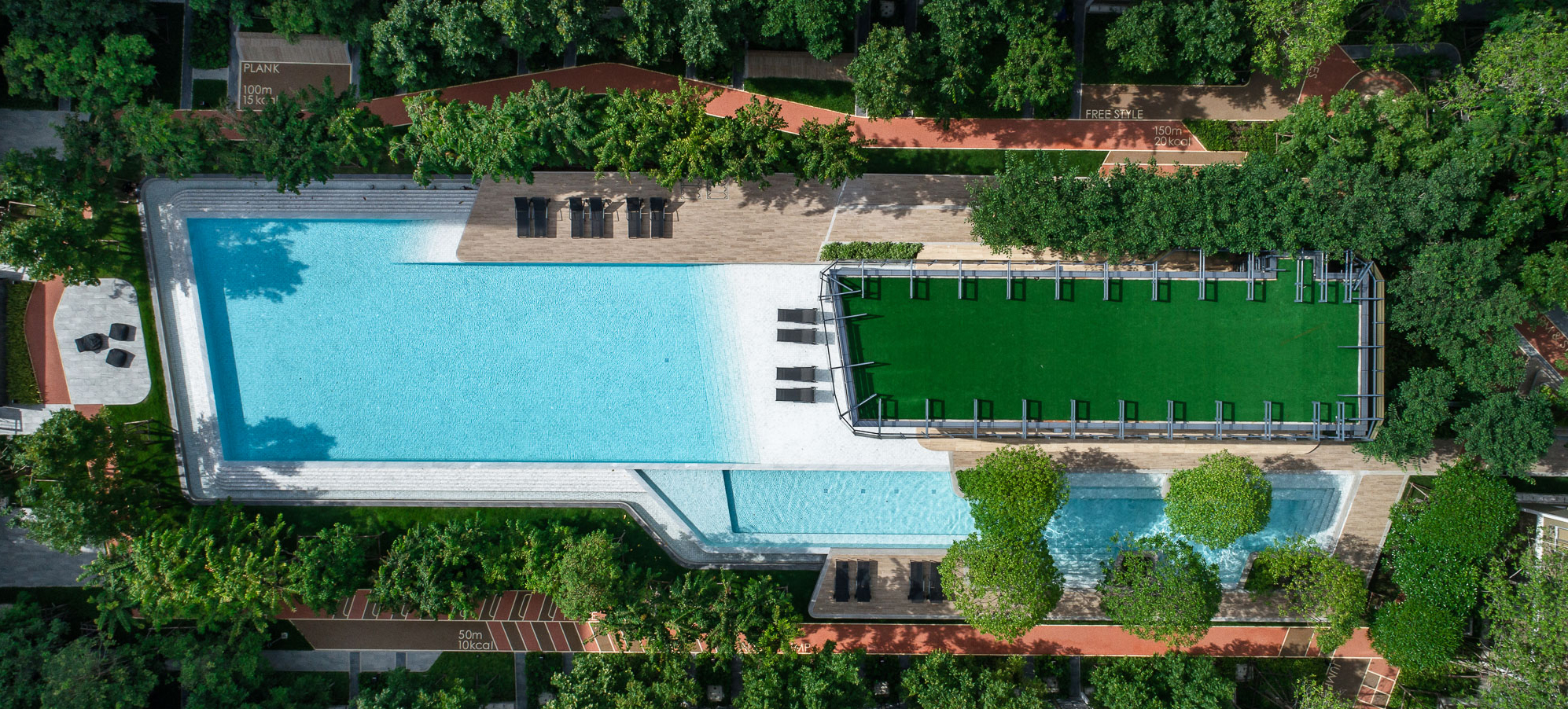 活力大区(Plum Alive)-38