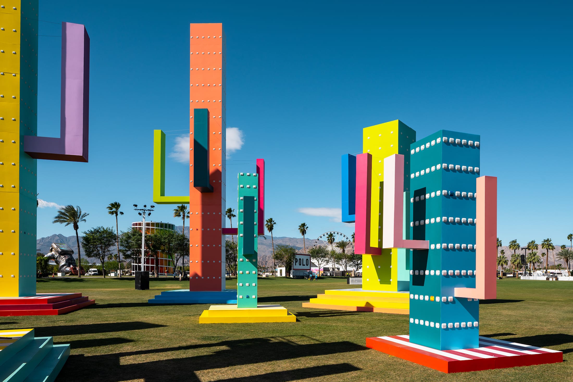 巨大仙人掌,科瓦奇办公室-3