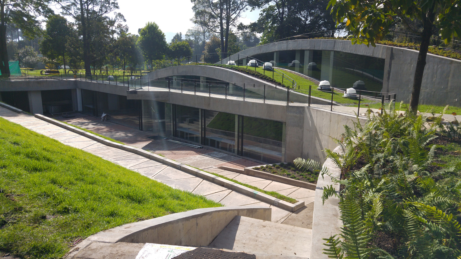 波哥大植物园植物标本馆-40