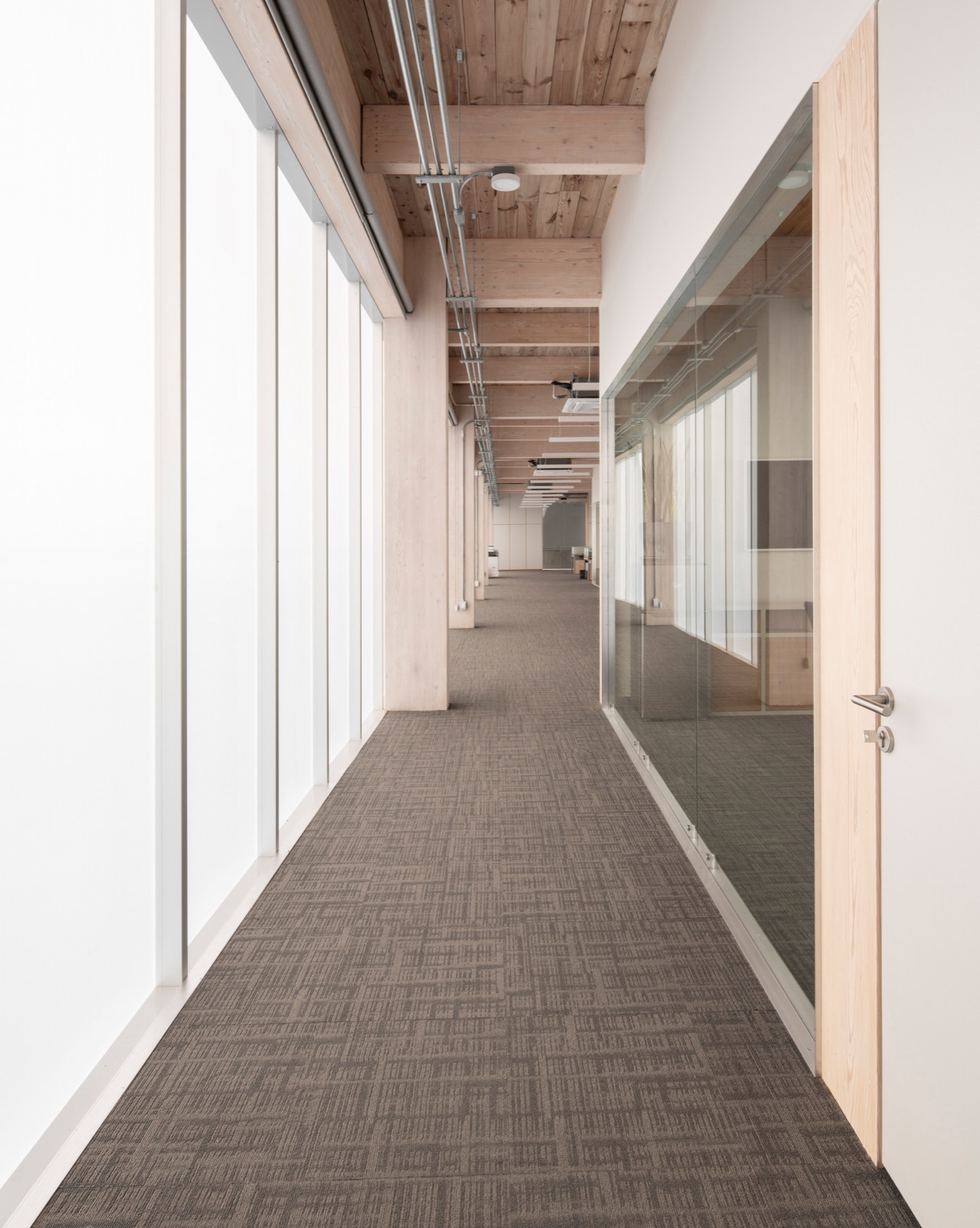 Lyncott办公室,墨西哥丨墨西哥克雷塔罗丨PPAA-41