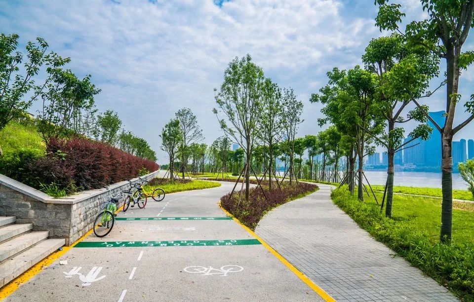 城市绿道漫步 | 一步跨入森林之中-214