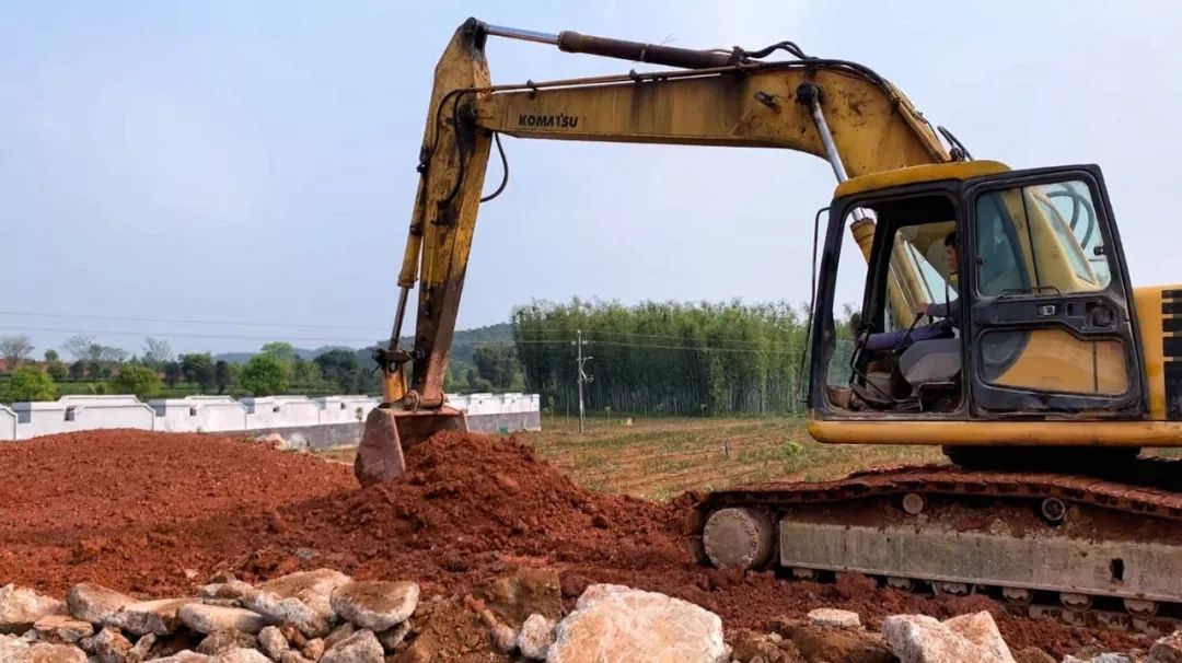 英德红茶小镇头采节展示区 -26