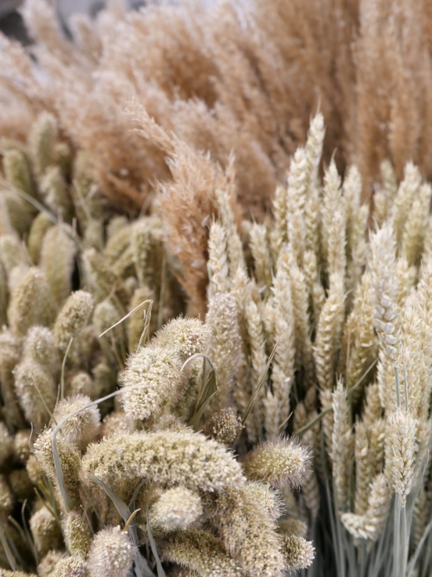 创意花艺 Instagram 账号盘点-10