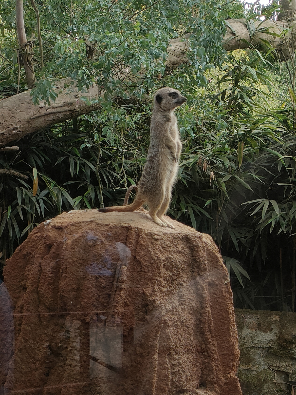 Les Terres de Natae土地整治项目丨法国丨AGimaginairing,agence ATRIA-8