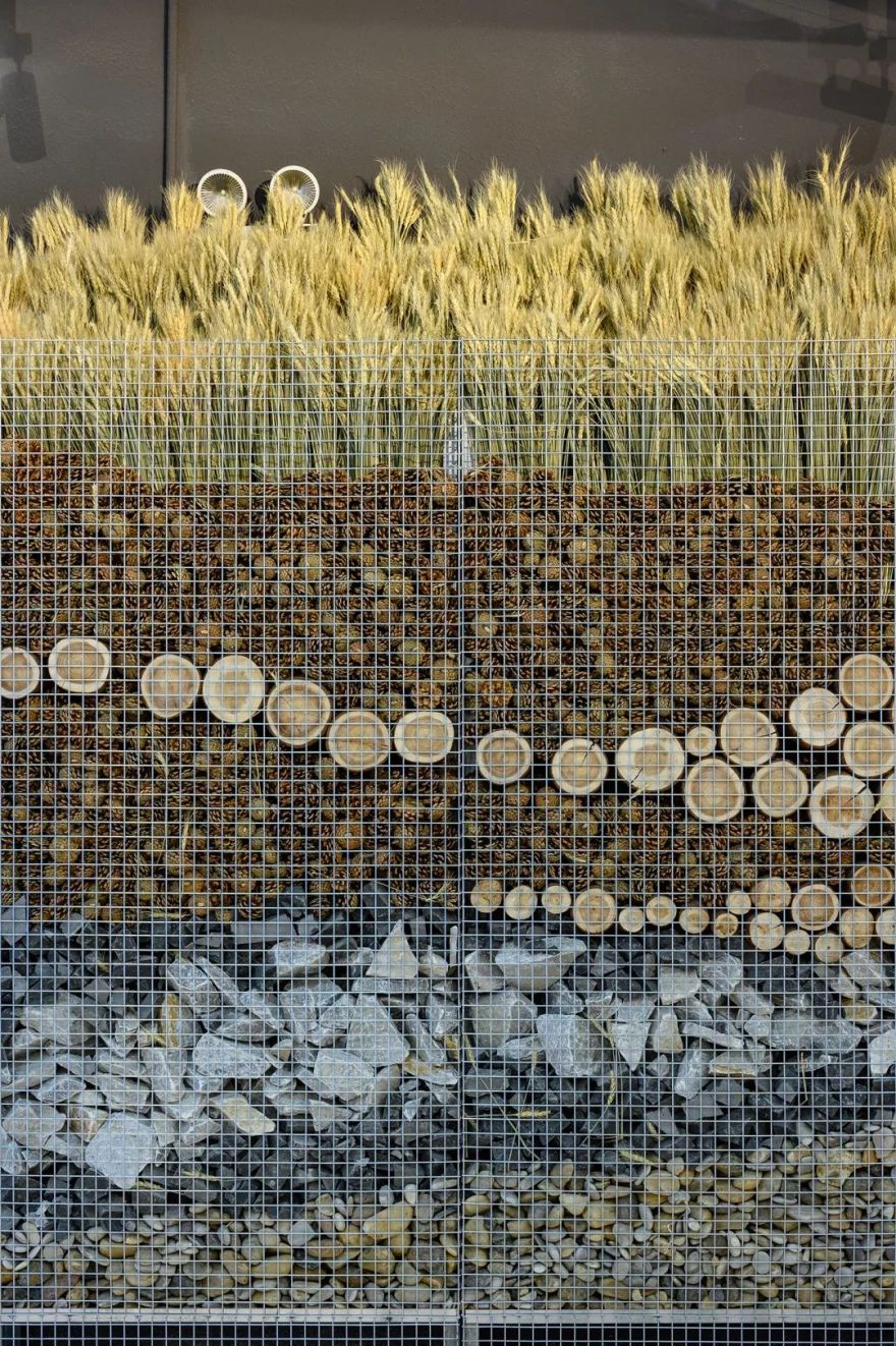 永年菜场的"城市乡野"更新-120