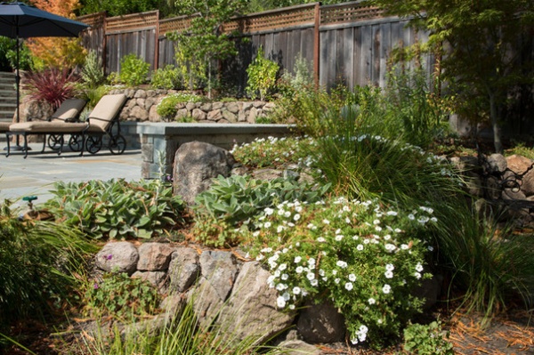 My Houzz: A Family Backyard for Dining, Relaxing, Swimming and Playing  -  Decor Ideas-18