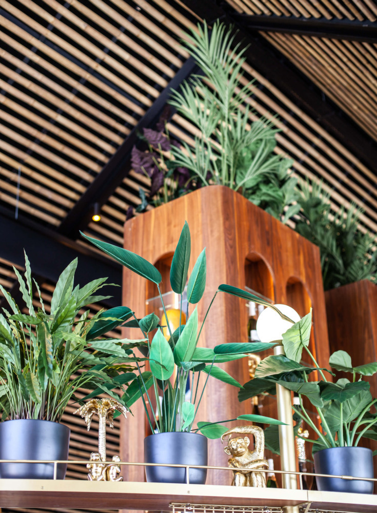 丨NetherlandsNijmegen-42