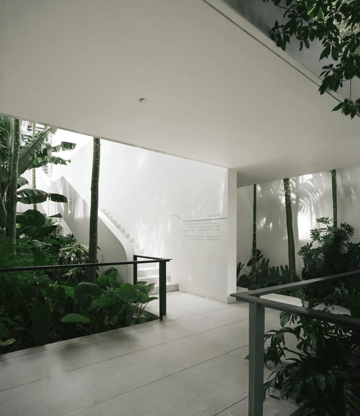 邦萨拉湾潮汐；邦萨拉潮（因为不太清楚原文具体语境中Tide和Bangsaray确切所指，通常Tide是潮汐，Bangsaray常指邦萨拉 ，这里给出相对可能的一种翻译） 丨泰国-26