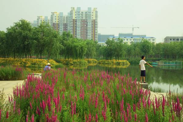 Sanlihe Greenway（迁安三里河绿道）丨中国河北丨Turenscape-4