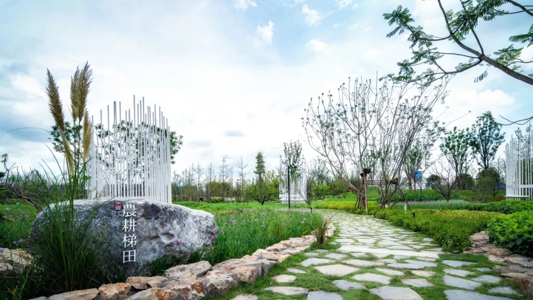 眉山桃园湖公园-16