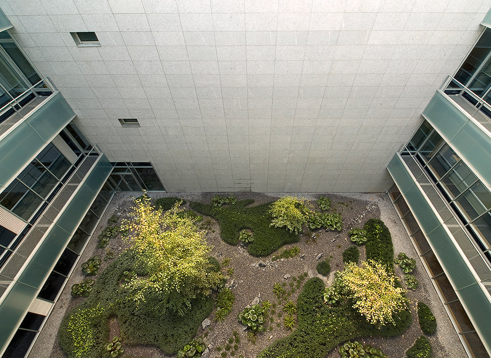 Madrid 办公大楼庭院花园 · 有机自然主义的设计实践-28
