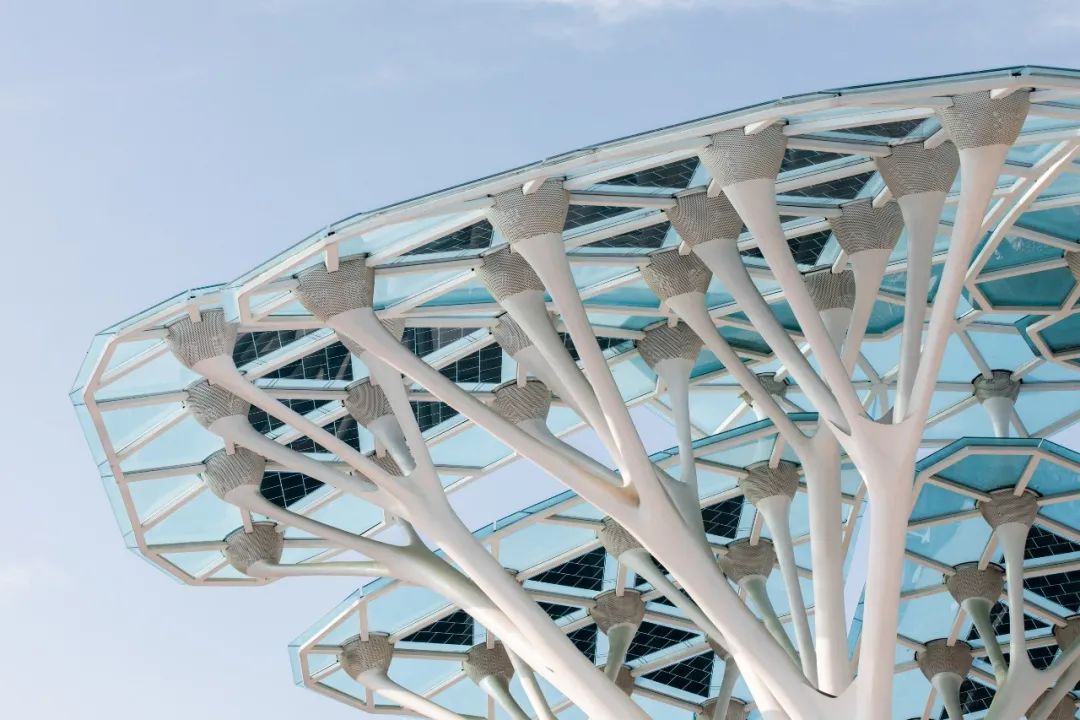 绿色智慧生活样本 | 乡愁记忆的新区实验区-26