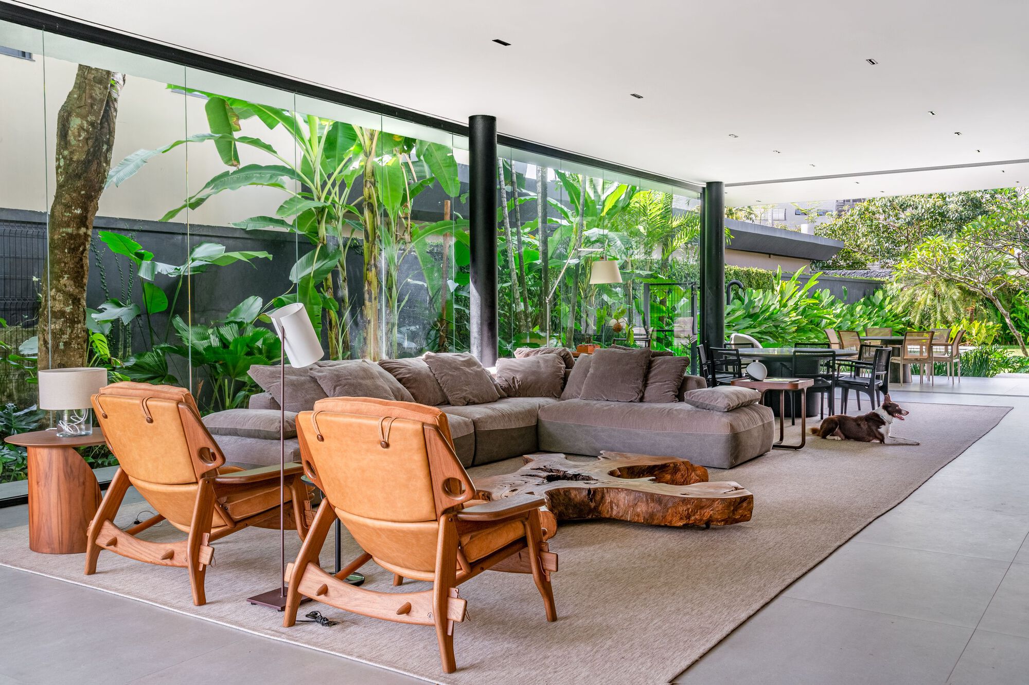 丨巴西丨studio gm-30